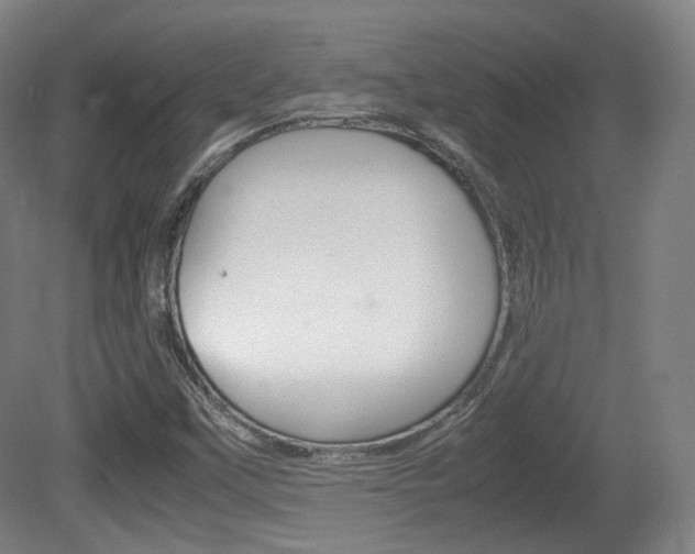 X0000080781451200612151019