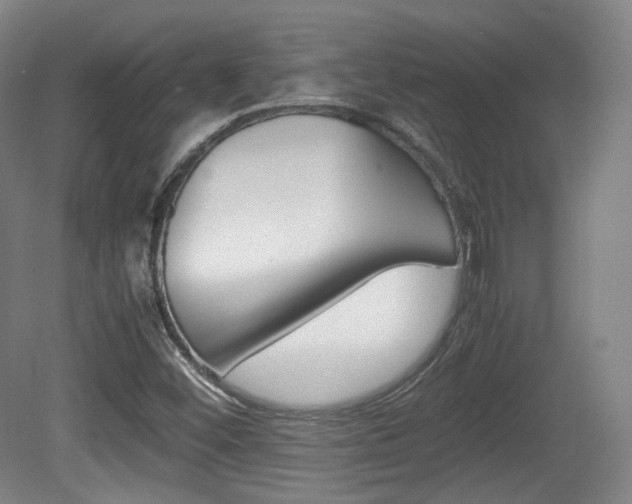 X0000080781452200612151019