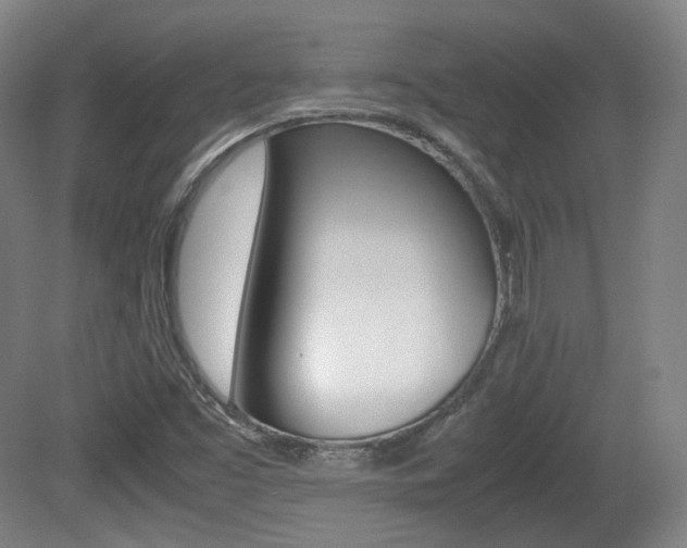 X0000080781453200612151019