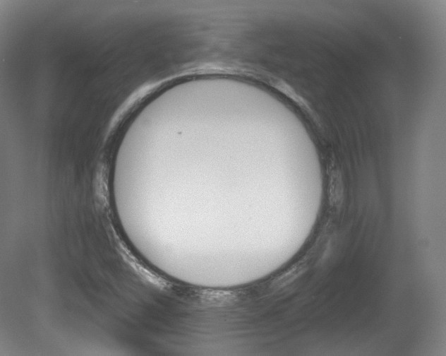 X0000080781454200612151019