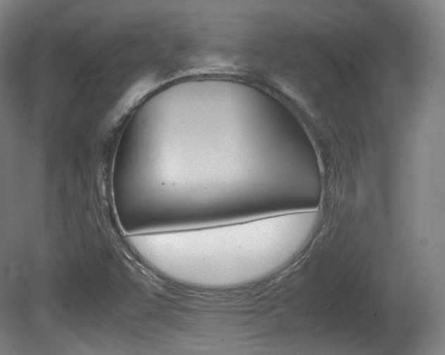 X0000080781455200612151019