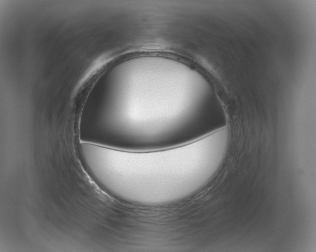 X0000080781456200612151019