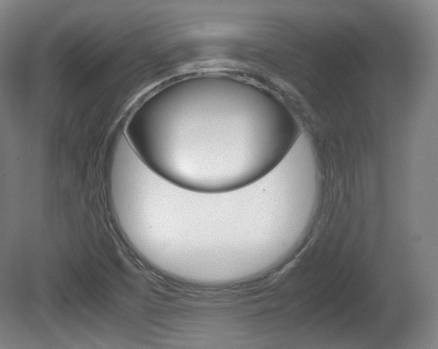 X0000080781457200612151019