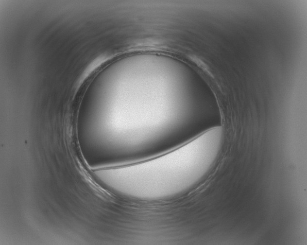 X0000080781458200612151019