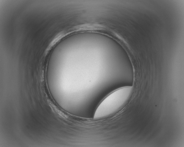 X0000080781459200612151019