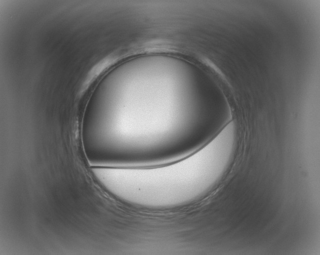 X0000080781461200612151019