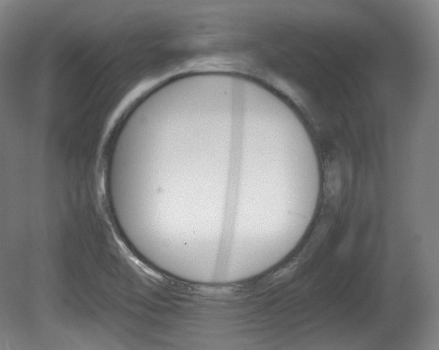 X0000080781462200612151019