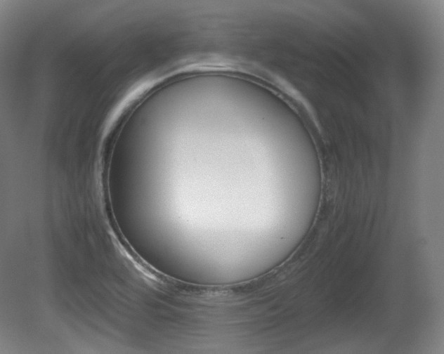 X0000080781464200612151019