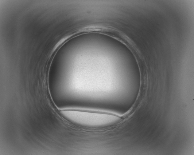 X0000080781465200612151019