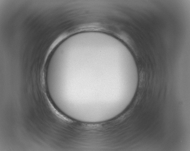 X0000080781466200612151019