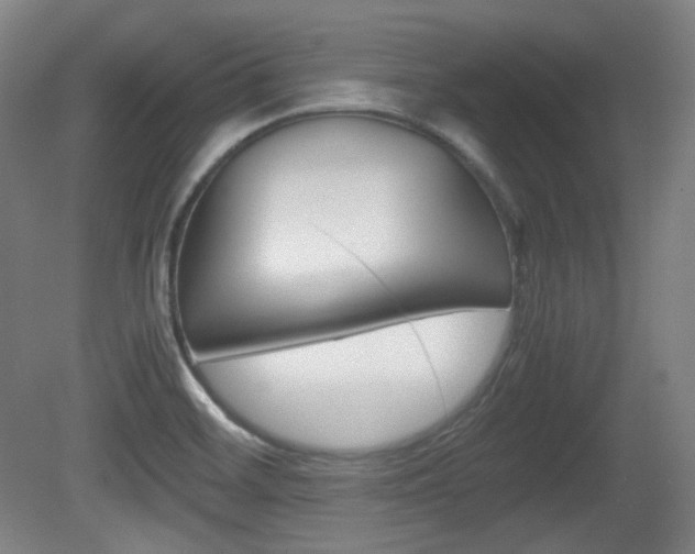 X0000080781468200612151019