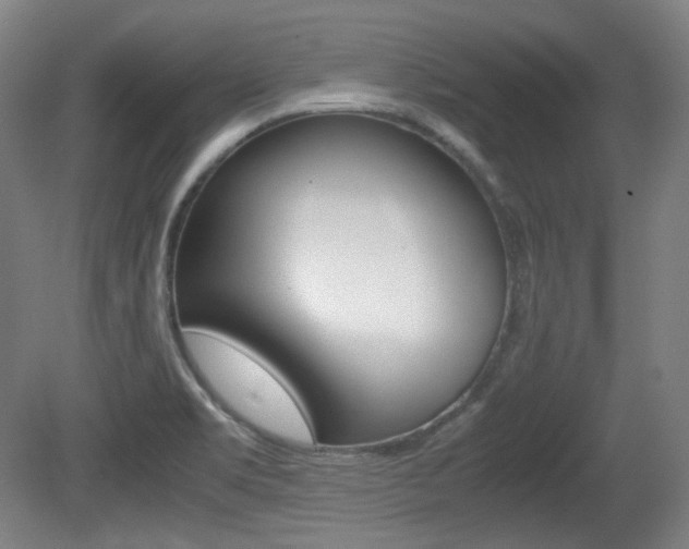 X0000080781469200612151019