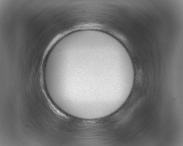 X0000080781470200612151019