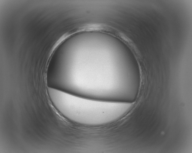 X0000080781473200612151019