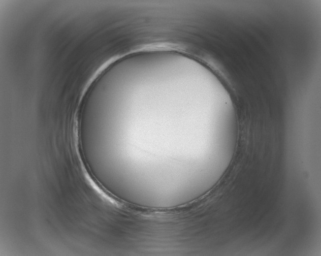 X0000080781476200612151019