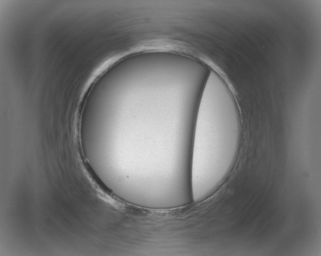 X0000080781477200612151019