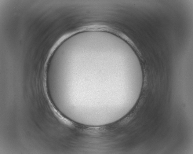 X0000080781478200612151019