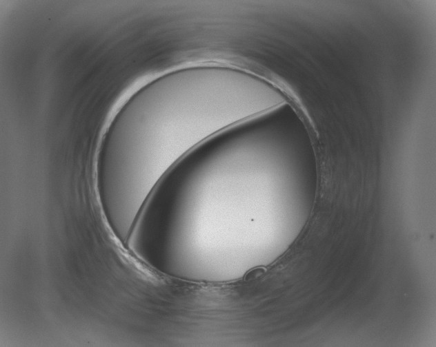X0000080781480200612151019