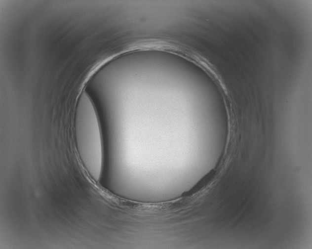 X0000080781481200612151019