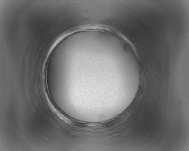 X0000080781483200612151019