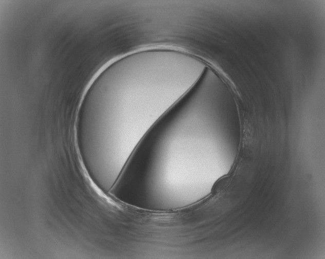 X0000080781484200612151019