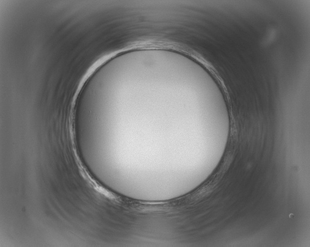 X0000080781486200612151019