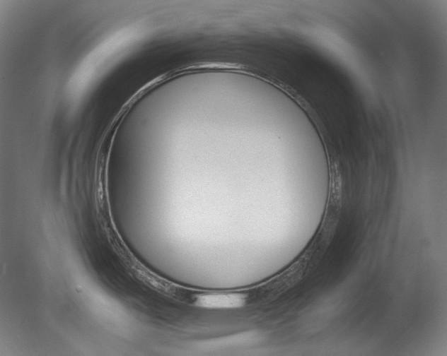 X0000080781487200612151019