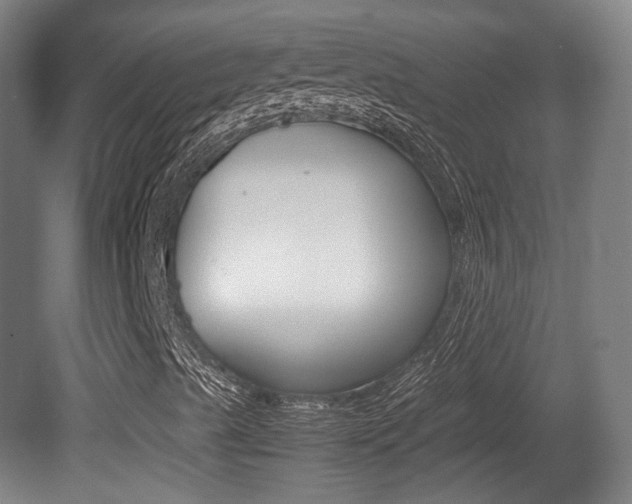 X0000080781489200612151018