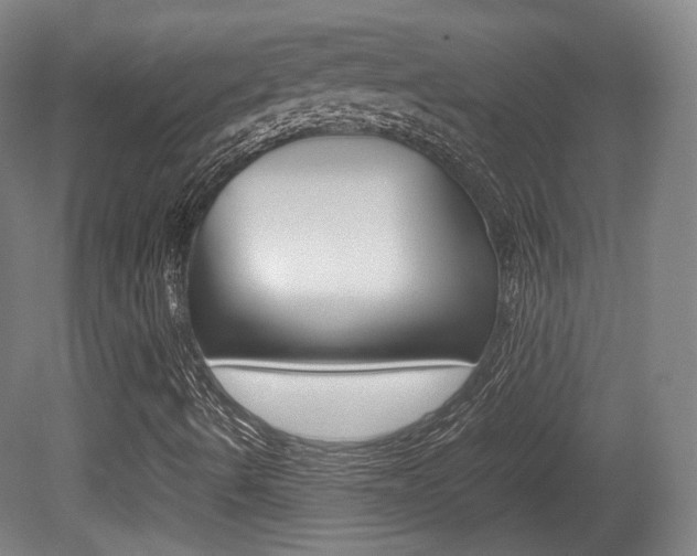X0000080781490200612151018