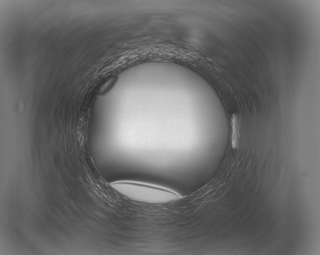 X0000080781491200612151018