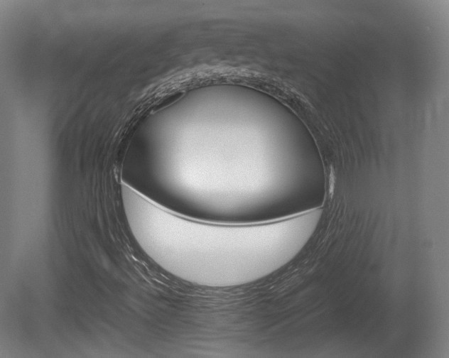 X0000080781492200612151018