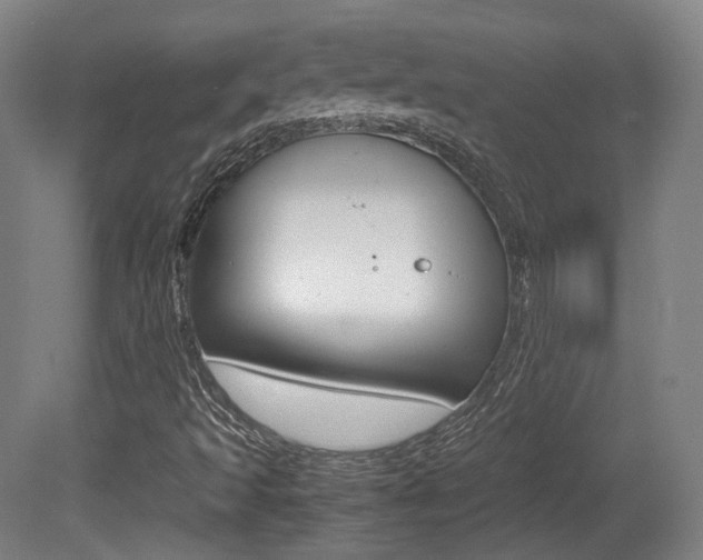 X0000080781493200612151018