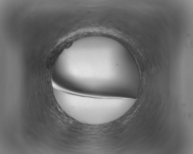X0000080781494200612151018