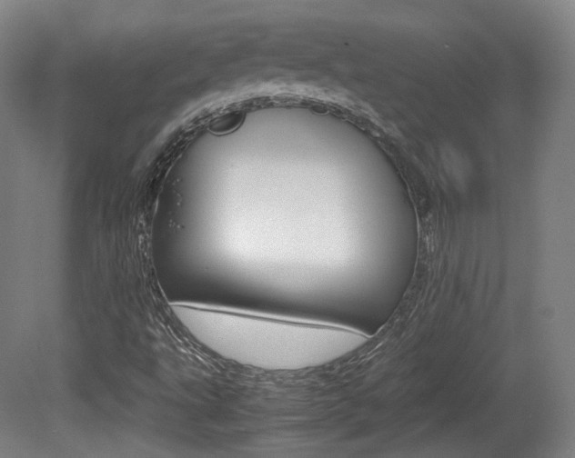 X0000080781495200612151018