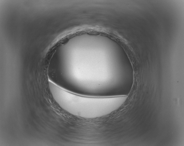 X0000080781496200612151018