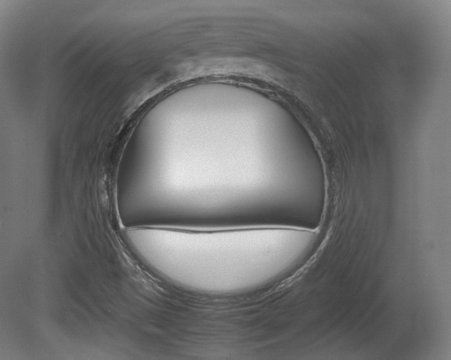 X0000080781497200612151018