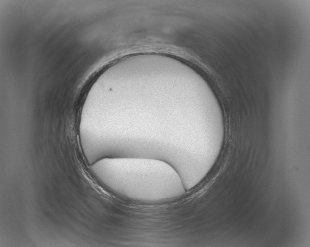 X0000080781498200612151018
