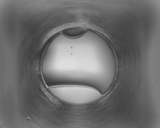 X0000080781499200612151018