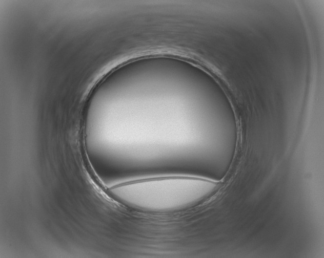 X0000080781500200612151018