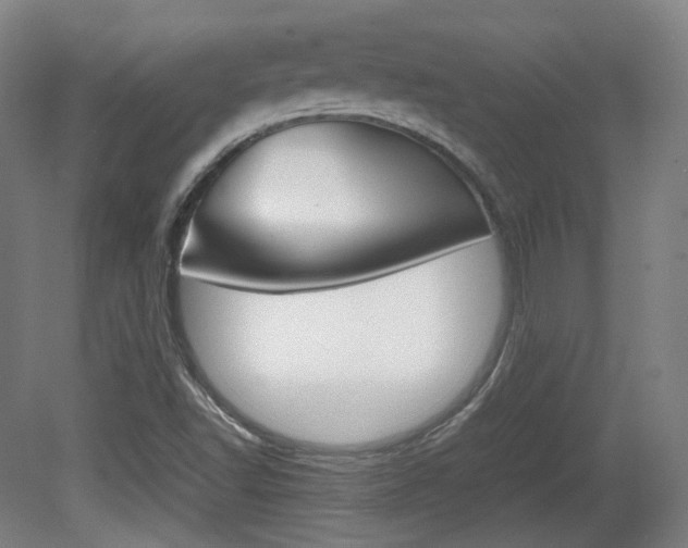 X0000080781502200612151018