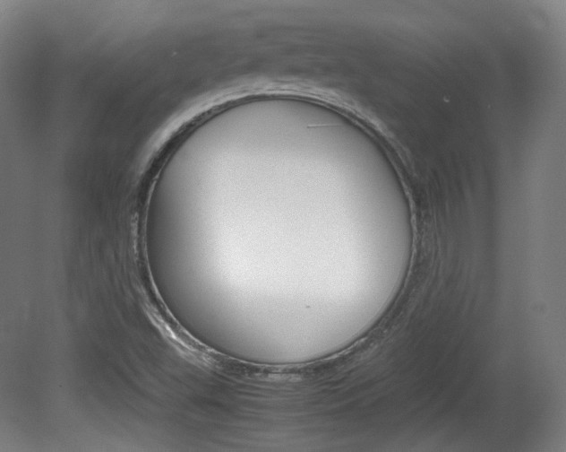 X0000080781503200612151018