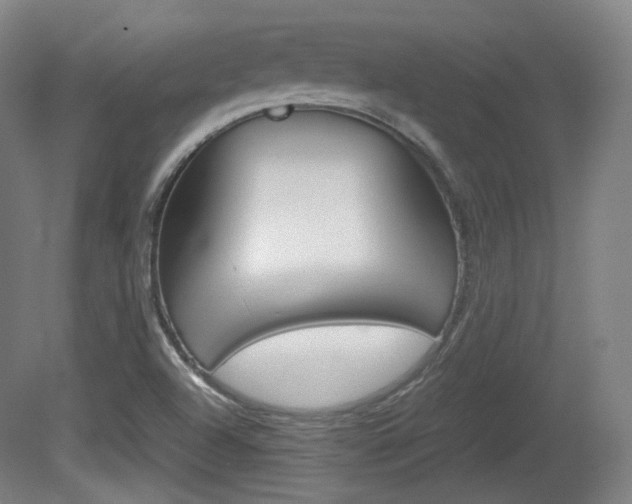X0000080781504200612151018