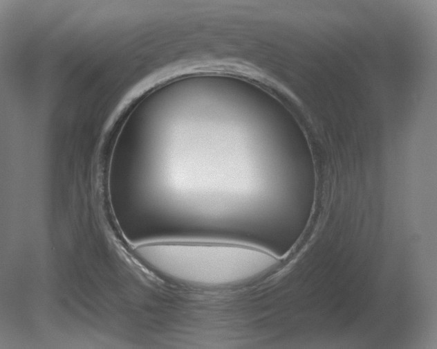 X0000080781506200612151018