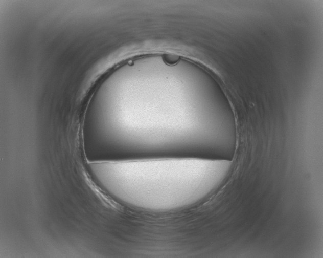 X0000080781507200612151018