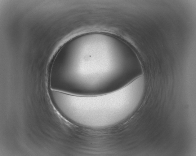 X0000080781508200612151018