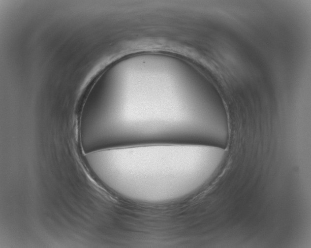 X0000080781509200612151018