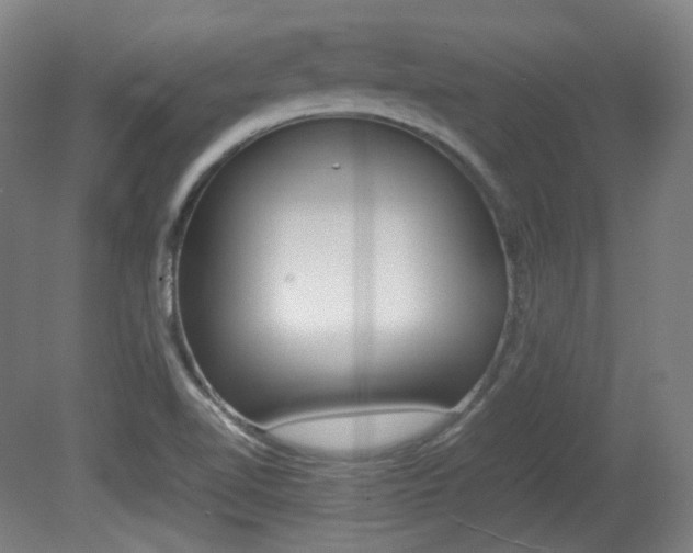 X0000080781510200612151018