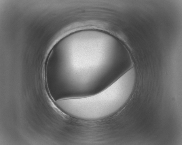 X0000080781516200612151018