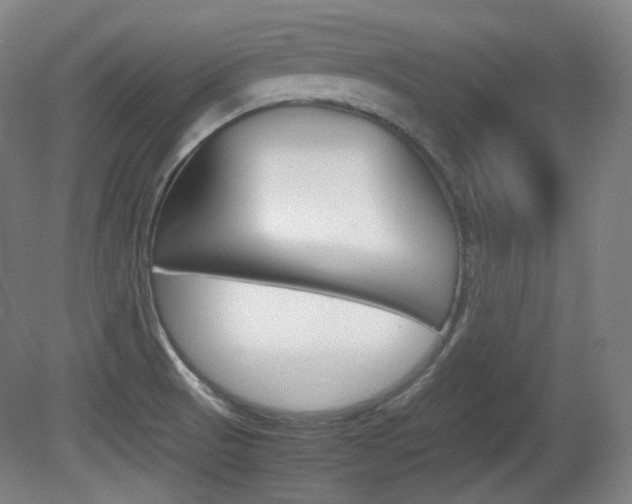 X0000080781521200612151018