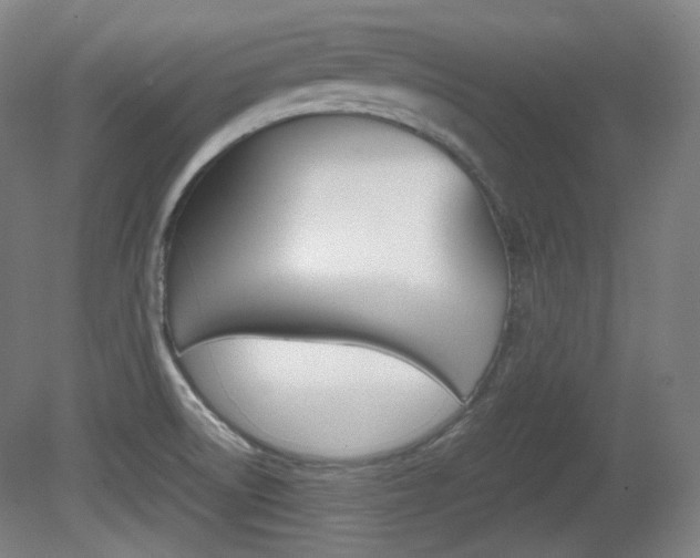 X0000080781522200612151018